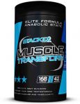 Muscle Transform